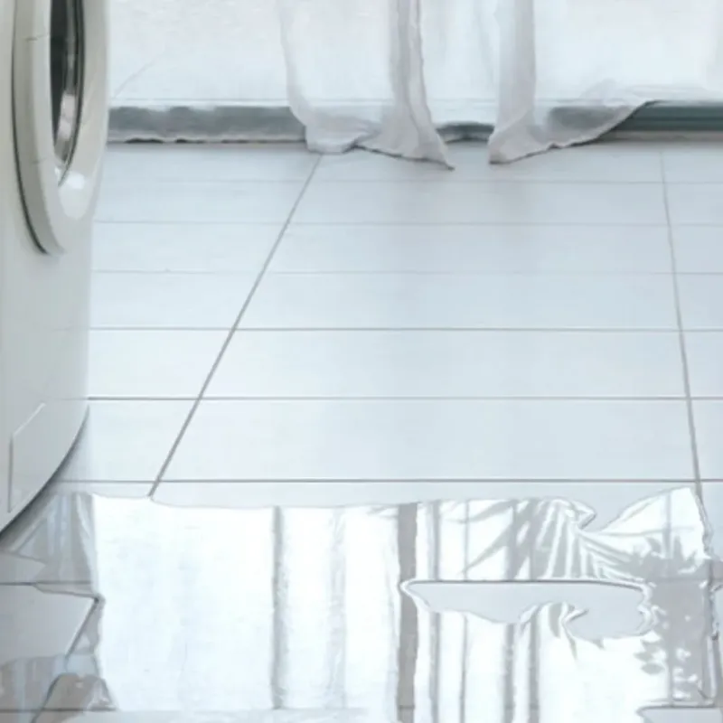 Appliance Leak Cleanup in Corinth, TX