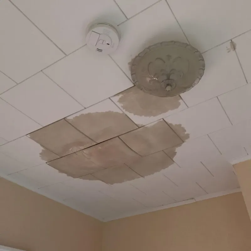 Ceiling Water Damage Repair in Corinth, TX