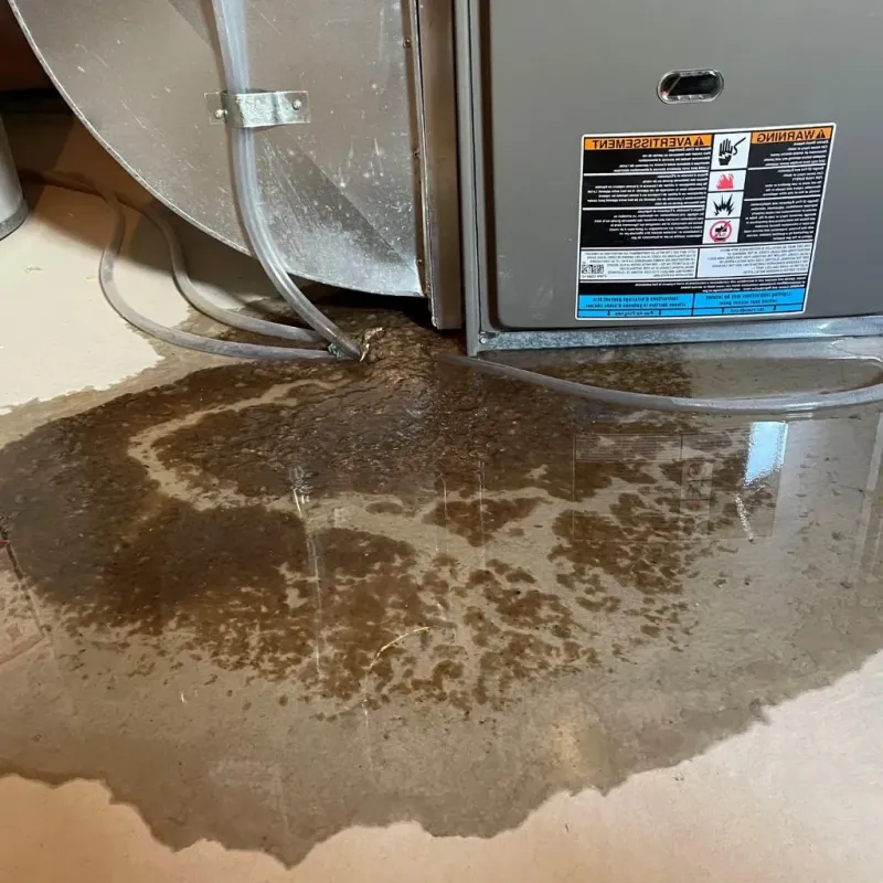 Pipe Burst and Leak Restoration in Corinth, TX