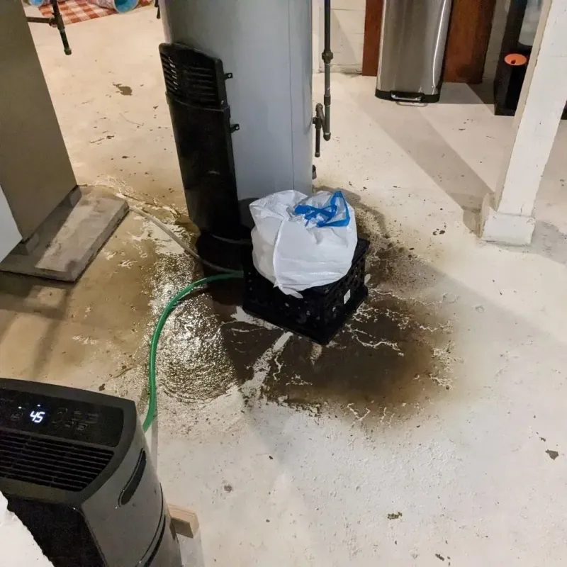 Sewage Backup Cleanup Service in Corinth, TX